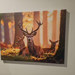Picture Of 3 Deers On Canvas, Art, Painting. 18x24