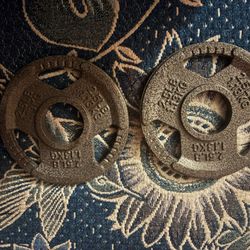 FlexWave 2" Olympic Cast Iron Weight Plates, 2.5LB 1.13KG Set, Rust-Proof Enamel Coating & Tri-Grip Handles, Home & Commercial Gym