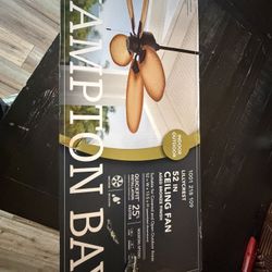 New Ceiling Fans - Indoor/Outdoor