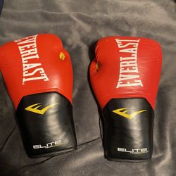 Eeverlast Boxing Gloves 