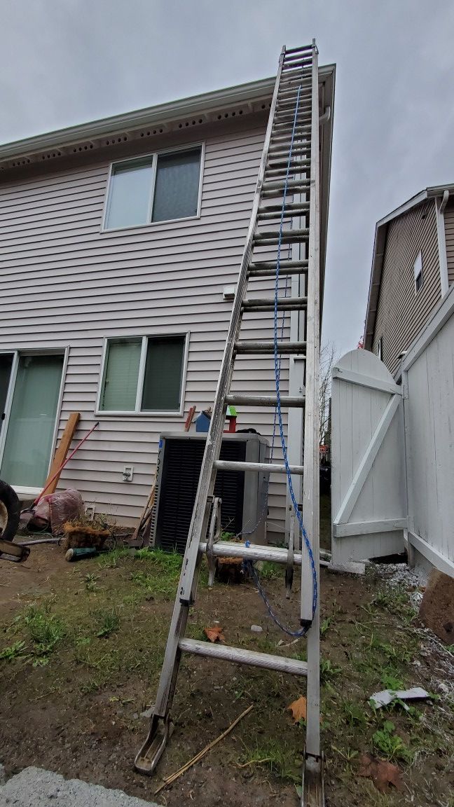 36ft Extension Ladder