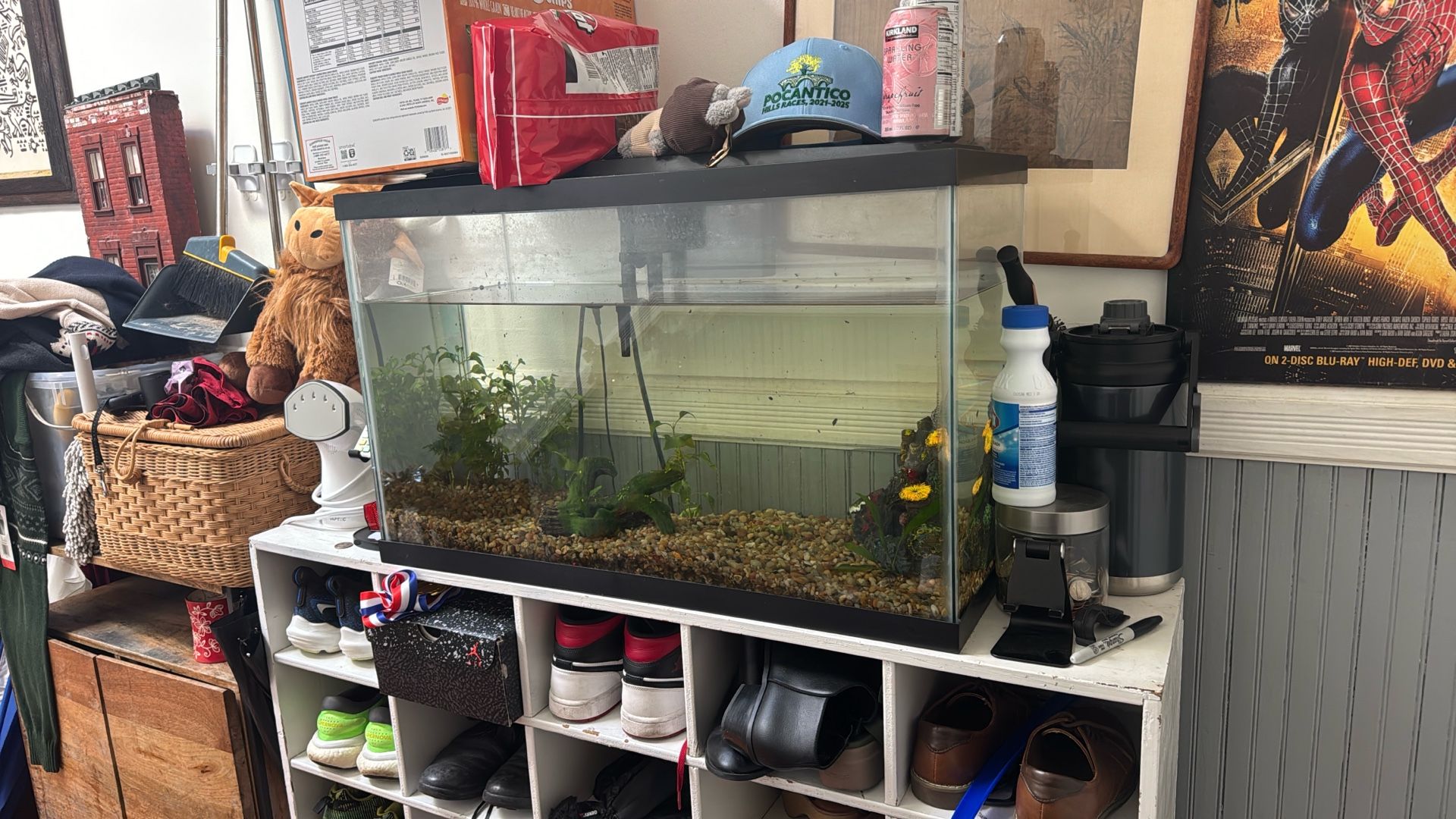 It’s A Giant Fish Tank With Lights And Filter Everything Included If you Want It