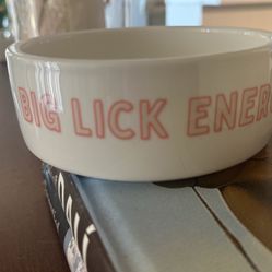 2 Dog Pet Food Mats And 3 Pet Bowls 