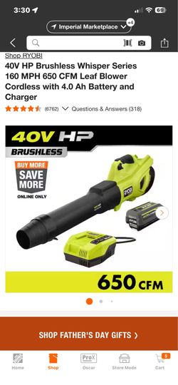 Ryobi blower whisperer