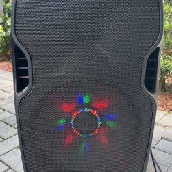   Karaoke Gemini 12” Speaker With Microphone 