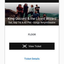 2 Tickets For King Gizzard And The Wizard Lizard At The Gorge
