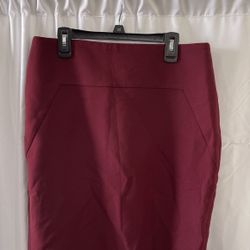 Ann Taylor Women’s Skirt