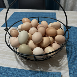 Fresh organic eggs