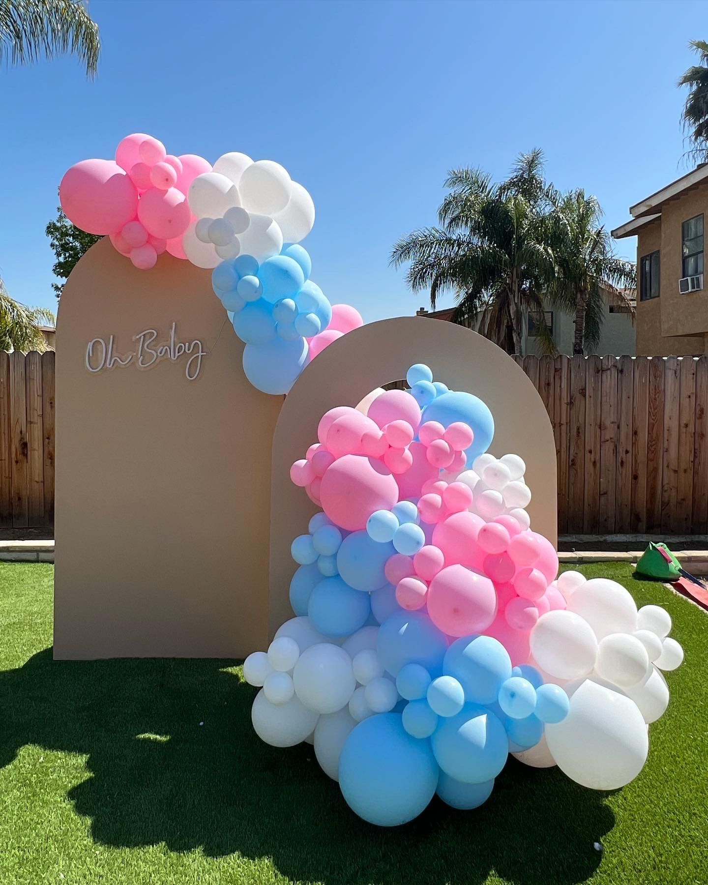 Gender Reveal Decorations