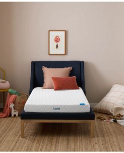 Twin  Xl Mattress 
