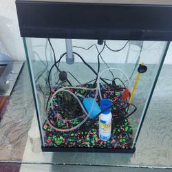 Top Fin 10 Gallon Fish Tank