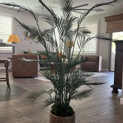 Realistic Faux Potted Palm Plant  in Sturdy Gold/Gray Pot