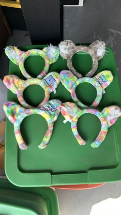 Great Wolf Lodge Ears