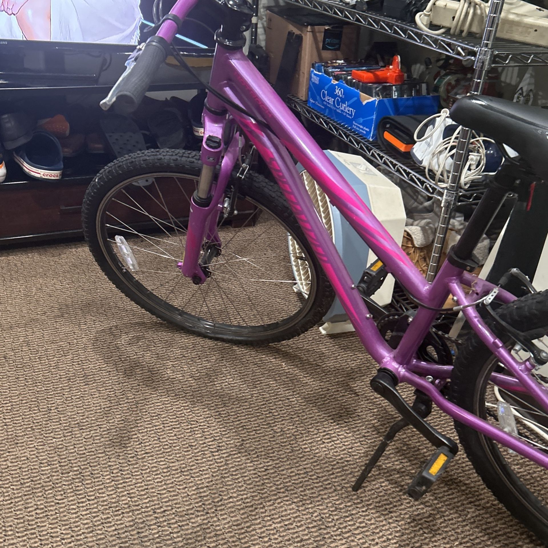 specialized