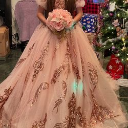 Quinceniera dress paid $870.00 , selling for $450.00 