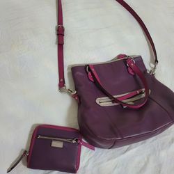 Coach Purse Set