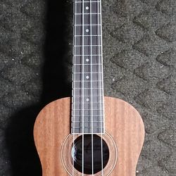 Brand New Oscar Schmidt Concert Ukulele 
