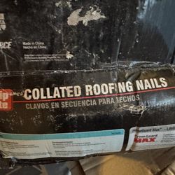 1 1/2 Smooth  Chunk Roofing Nail