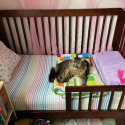 Babyletto Hudson Convertible Crib