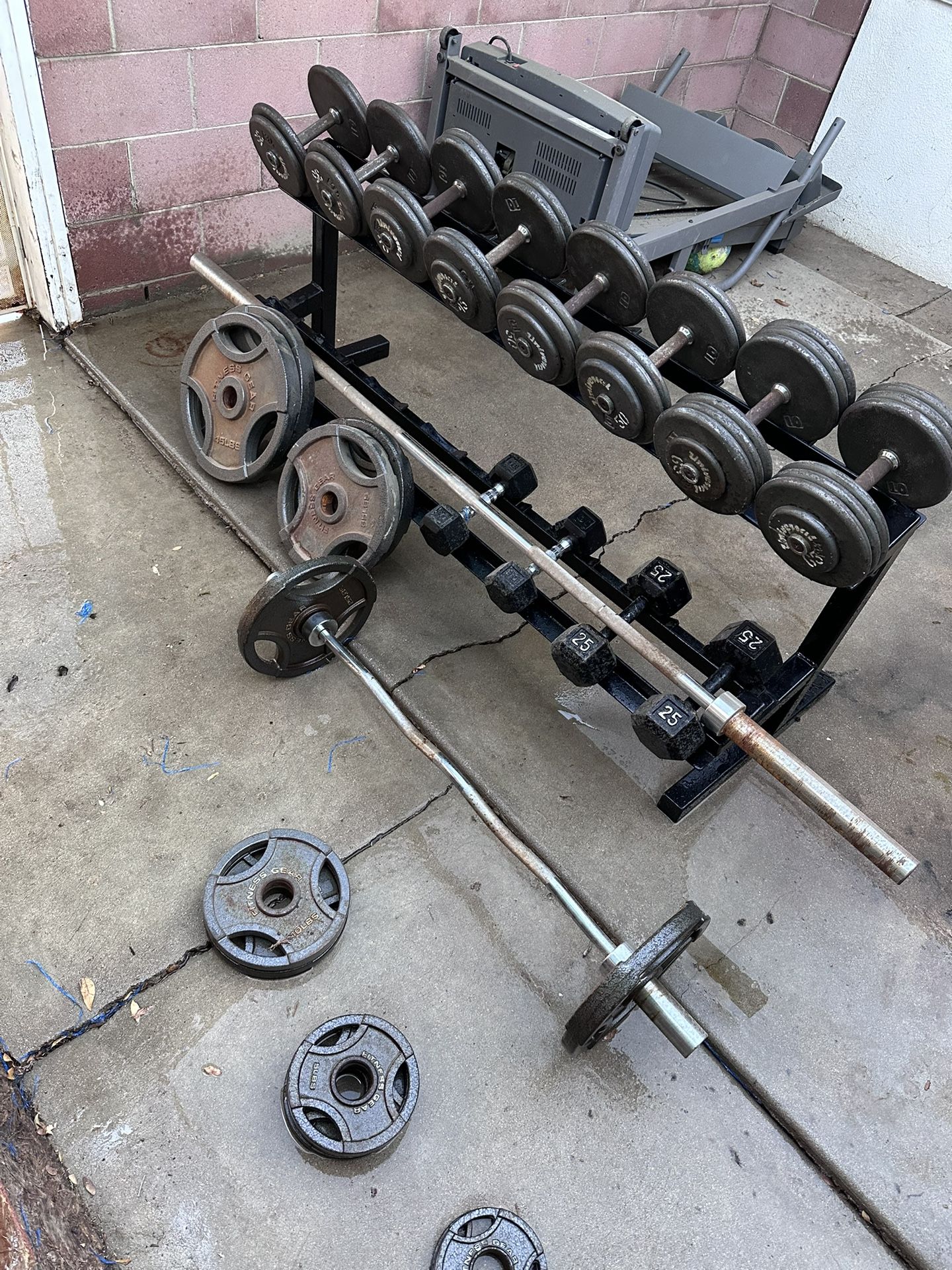 Dumbbells Weights For The Low / Not Free
