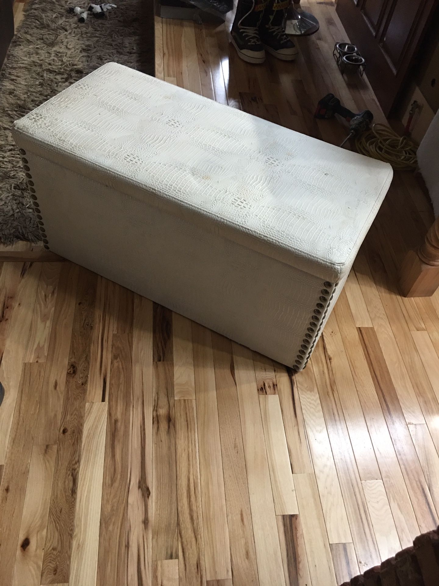 Woman’s Leather Trunk