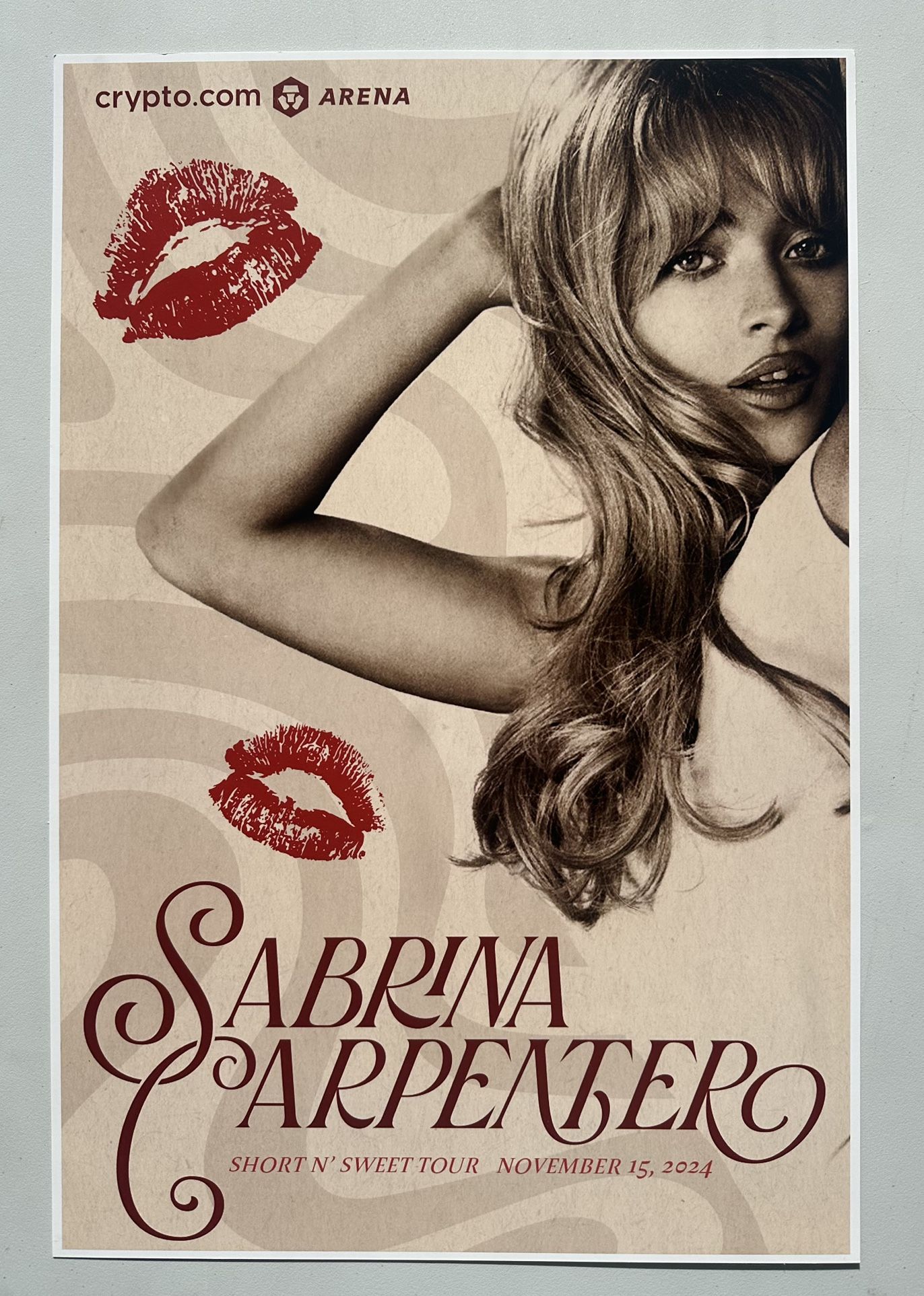 Sabrina carpenter Poster 12x18 Out Of Market Edition!