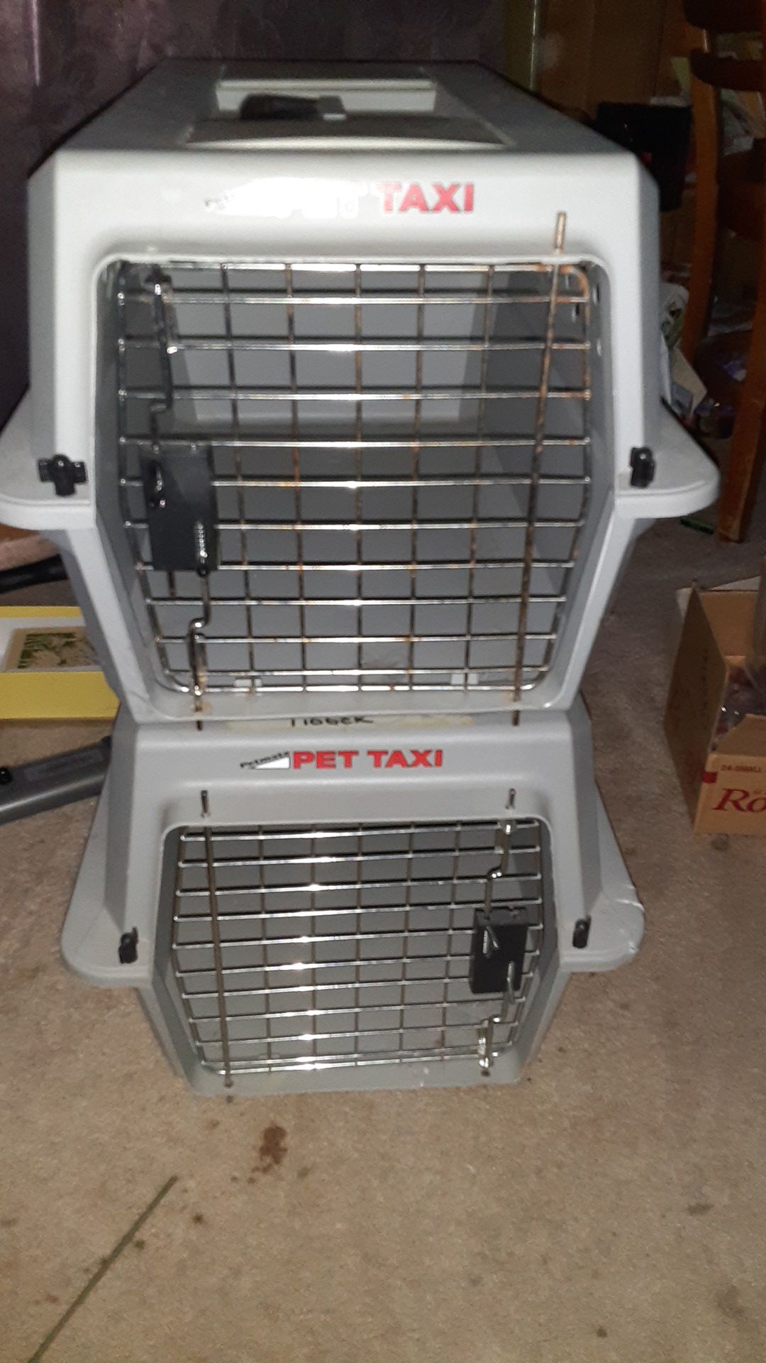 Pet taxi(cat or small dog carrier)