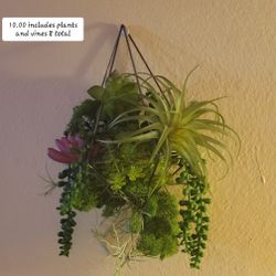 Artificial Succulent Wall hanging