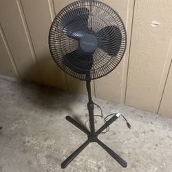 Pelonis Fan 