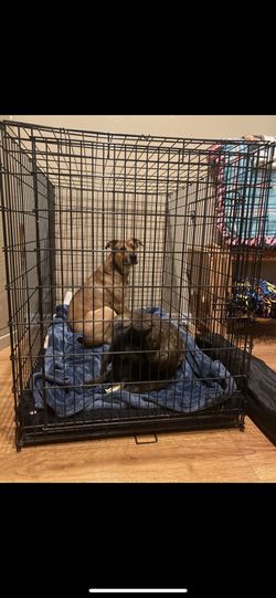 Frisco heavy duty clearance single door dog crate
