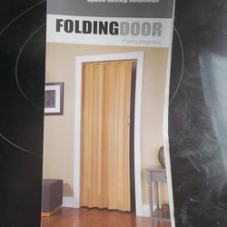 Folding Door 