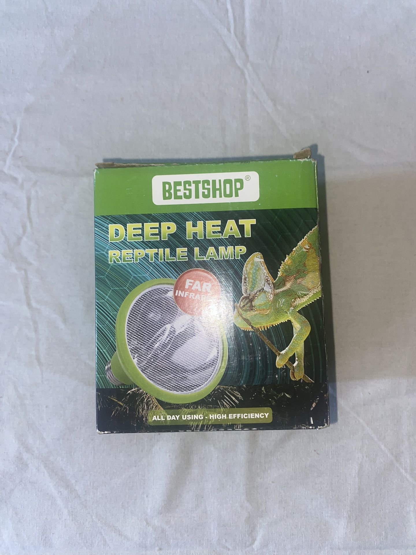 Reptile Lamp