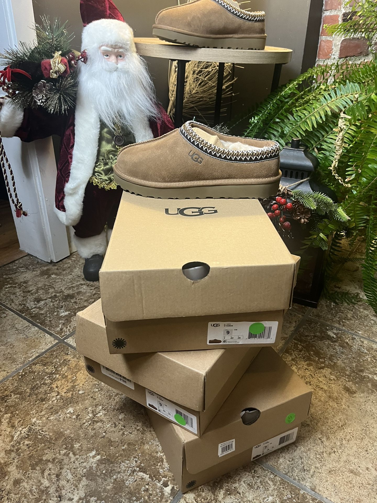 Ugg Tasman Chestnut (W)