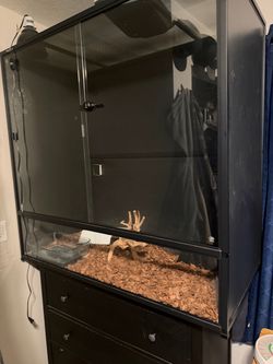 Reptile enclosure
