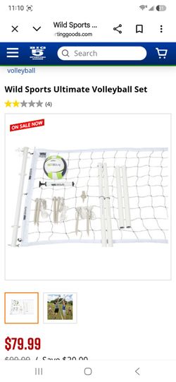 Wild sports volleyball set