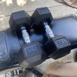 2x30s WEIGHTS DUMBELLS FOR 45$ PRICE IS FIRM 