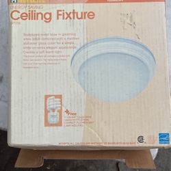Ceiling Fixture Light