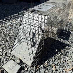 Cage Trap