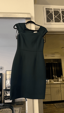 Calvin Klein Dress