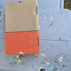 06' Nike Dunk Low CL