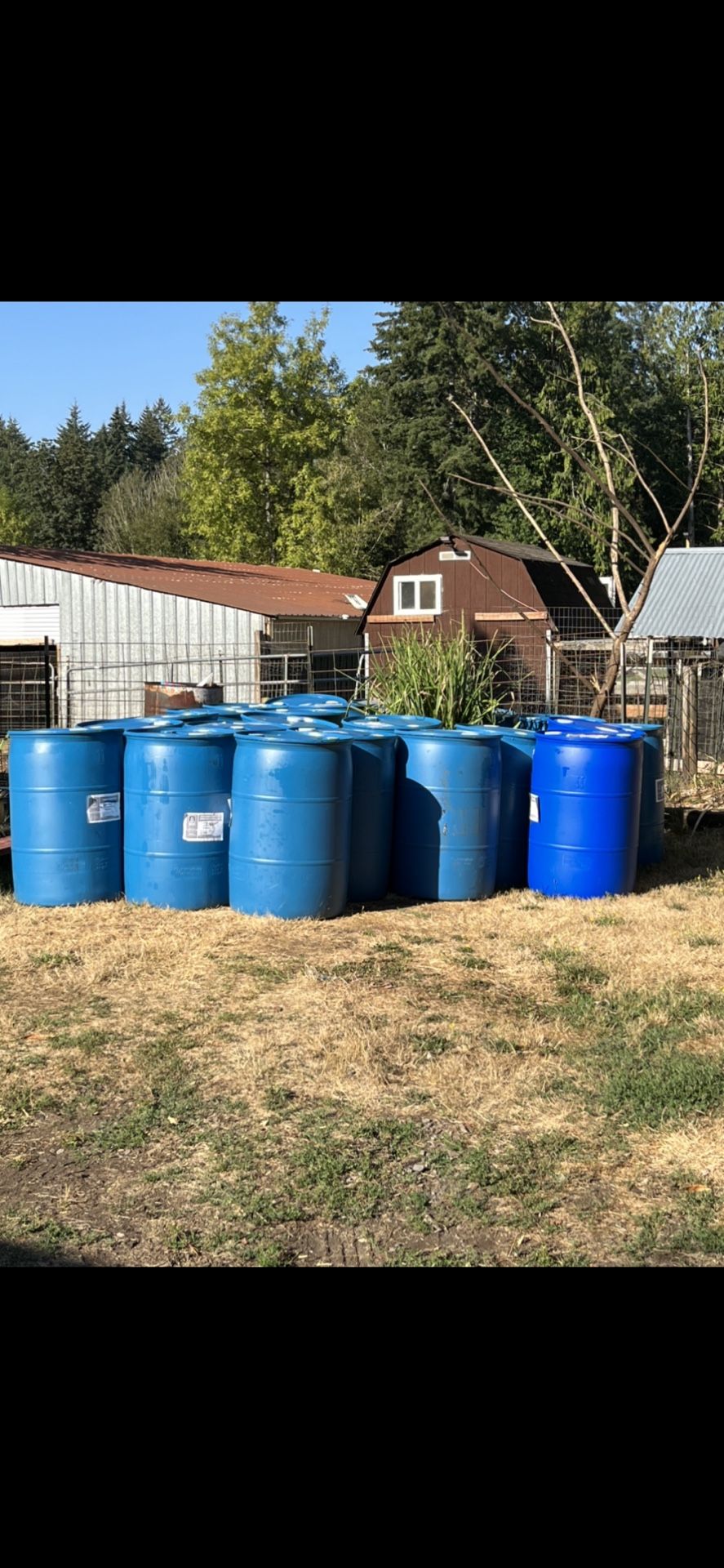 55 Gallon Barrels $15.00 Each