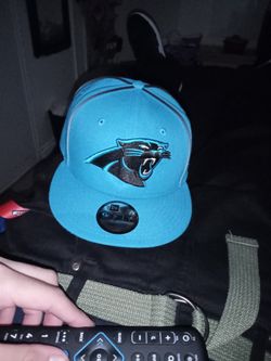 Panthers Snap Back