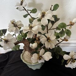 Porcelain White Magnolia Tree