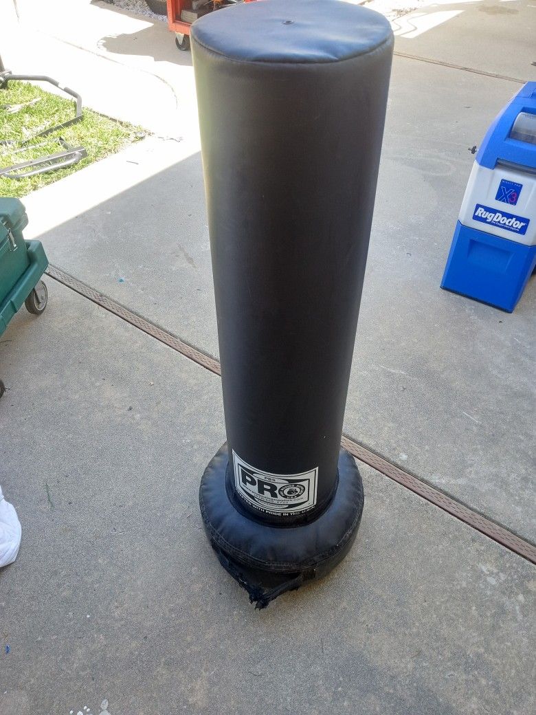 Pro Kids Punching Bag $140