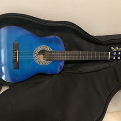 Youth Pegasus acoustic guitar With Case