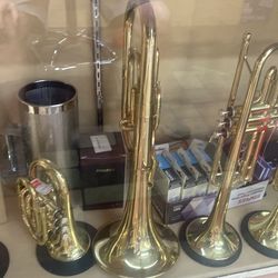 Fever Charcheta alto horn $550