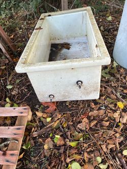 Pig water trough