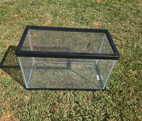 Reptile tank with wire mesh top, 10 gallons