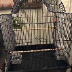 Bird Cage 