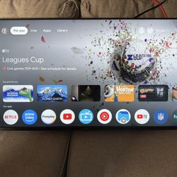 45’ INCH Google Tv 